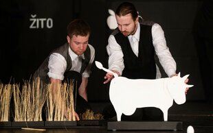 Farma zvířat | Divadlo loutek Ostrava